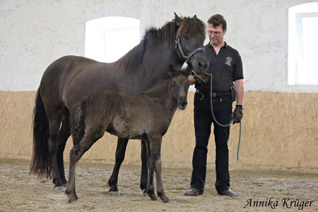 ©2016 by Annika Krüger