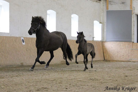 ©2016 by Annika Krüger