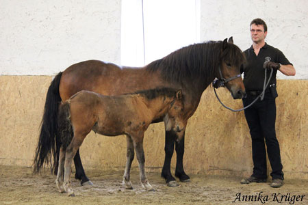 ©2016 by Annika Krüger