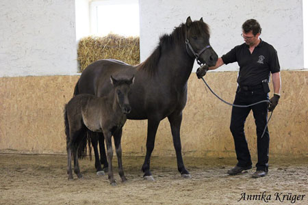 ©2016 by Annika Krüger