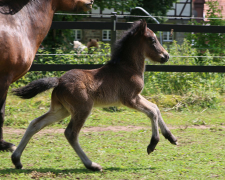 Stjörnustígur vom Glockenhof