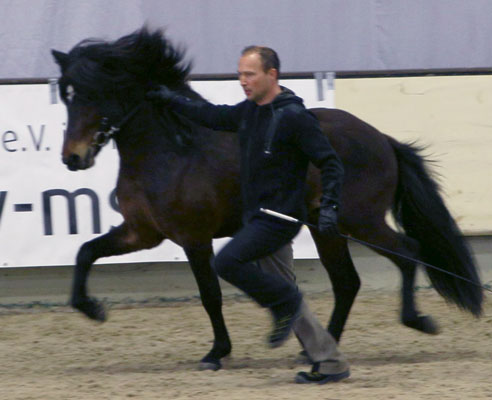 HARALDUR VOM GLOCKENHOF