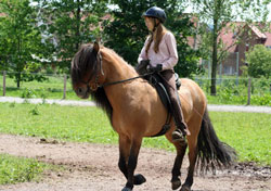 Harry & Heike Kurs 2007