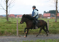 Anna & Friffi Kurs 2011