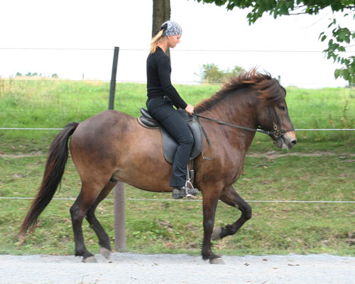 DAGFINNUR VOM GLOCKENHOF