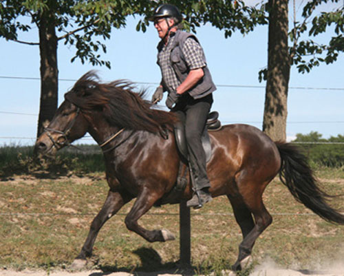 DIMMALIMM VOM GLOCKENHOF