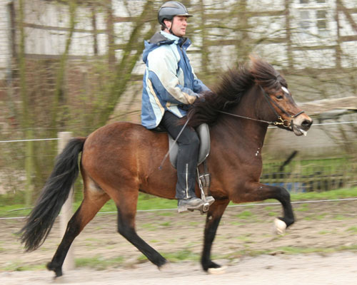 DRIFT VOM GLOCKENHOF