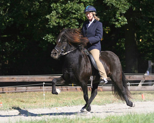 MELKORKA VOM GLOCKENHOF