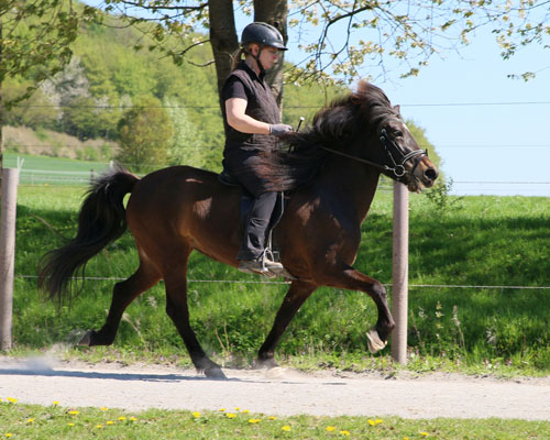 © 2016 by Glockenhof