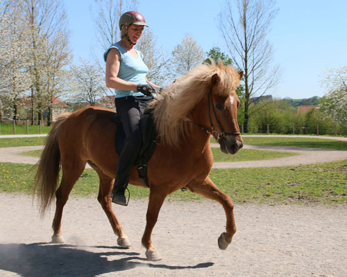 © 2016  by Glockenhof