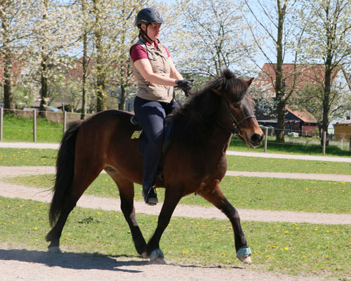 © 2016  by Glockenhof