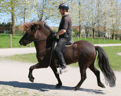 © 2016  by Glockenhof