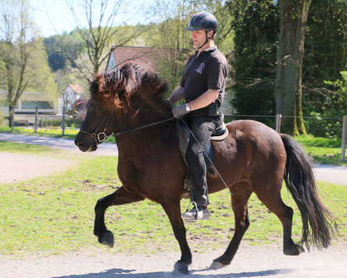 © 2016  by Glockenhof