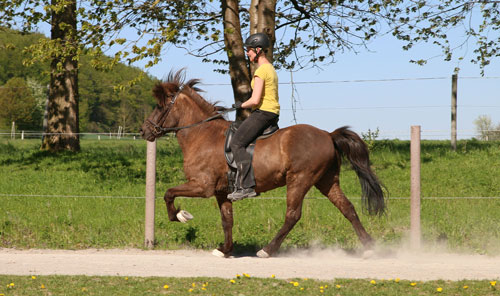 © 2016  by Glockenhof