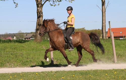 © 2016  by Glockenhof