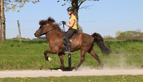 © 2016 by Glockenhof