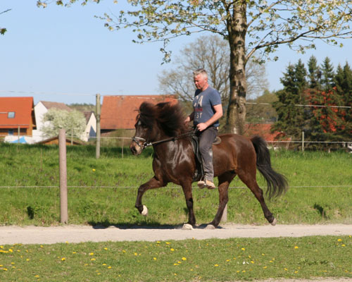 © 2016 by Glockenhof