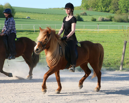 © 2016  by Glockenhof