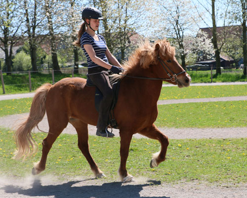 © 2016  by Glockenhof