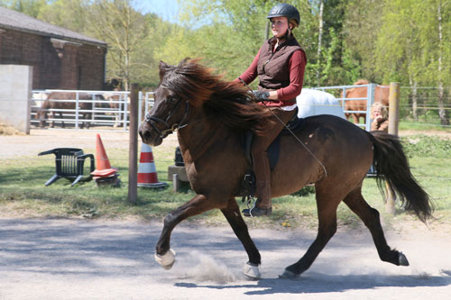 © 2016  by Glockenhof