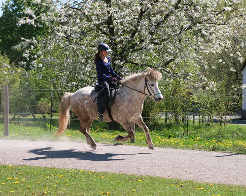 © 2016  by Glockenhof