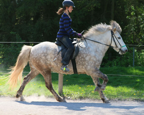 © 2016 by Glockenhof