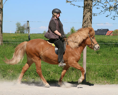 © 2016  by Glockenhof