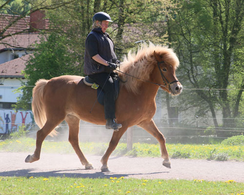 © 2016  by Glockenhof