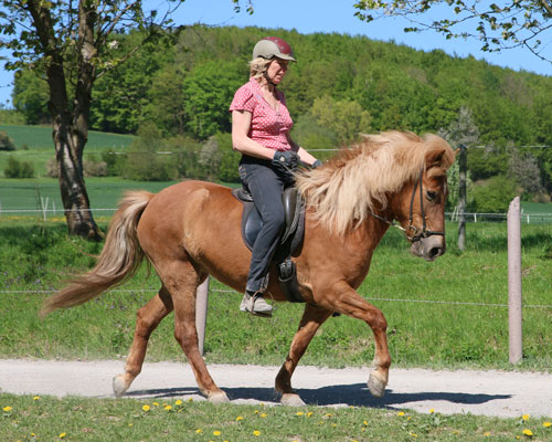 © 2016 by Glockenhof