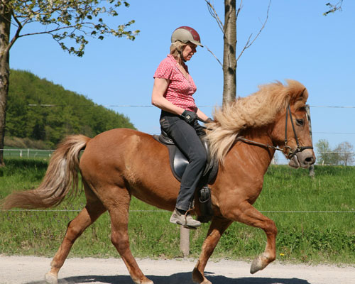 © 2016  by Glockenhof