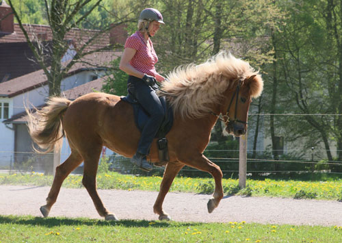 © 2016  by Glockenhof