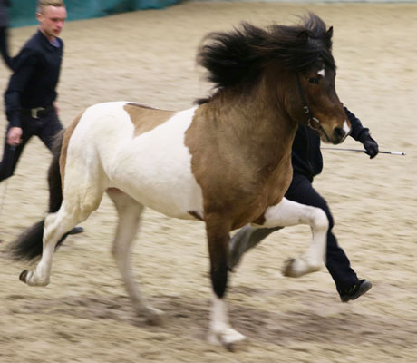 © 2016 by Glockenhof