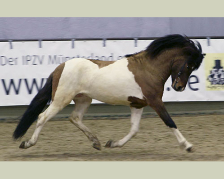 © 2016  by Glockenhof