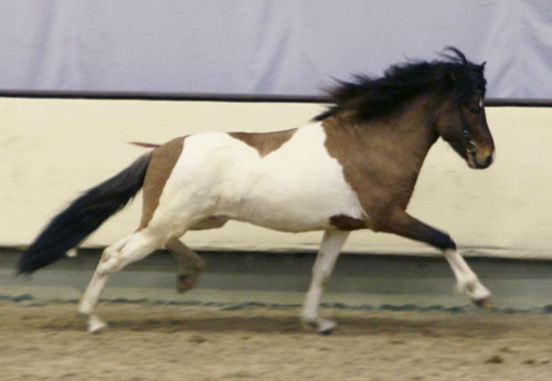 © 2016  by Glockenhof