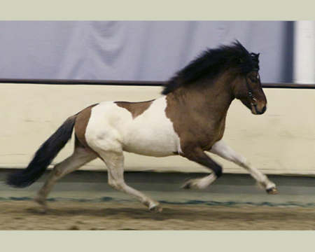 © 2016  by Glockenhof