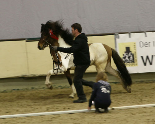 © 2016 by Glockenhof