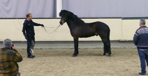 © 2016  by Glockenhof