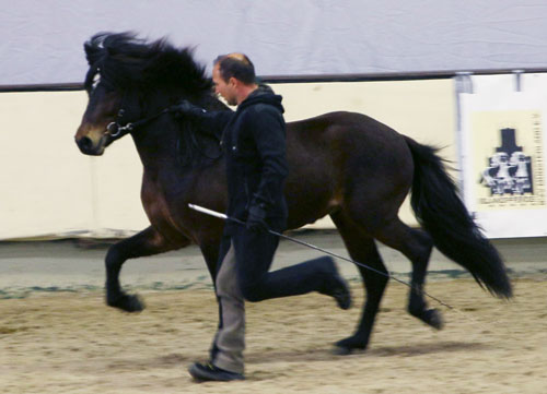 © 2016  by Glockenhof