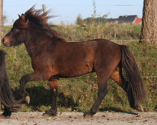 KASPAR VOM GLOCKENHOF