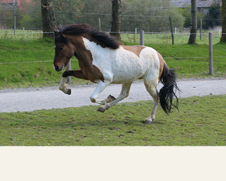 © 2016 by Glockenhof