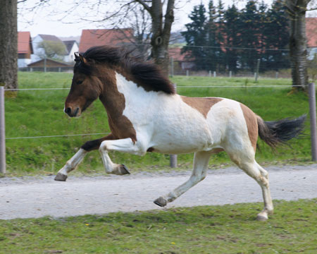 © 2016  by Glockenhof