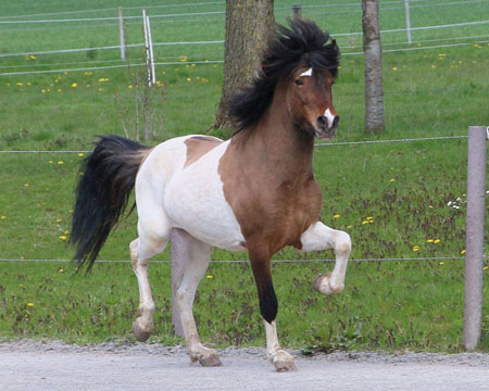 © 2016  by Glockenhof