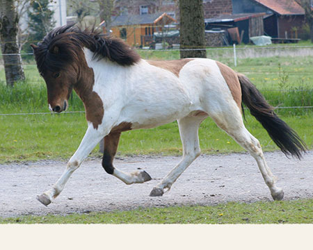 © 2016 by Glockenhof