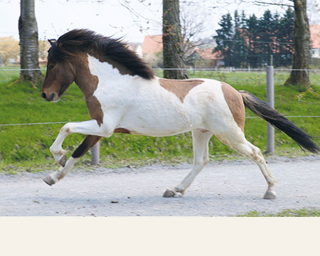 © 2016 by Glockenhof