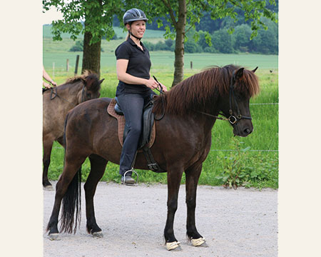 © 2016  by Glockenhof