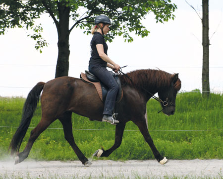 © 2016  by Glockenhof