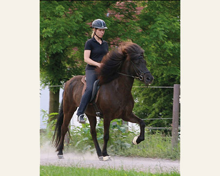 © 2016  by Glockenhof