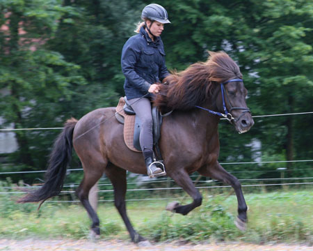 © 2016 by Glockenhof