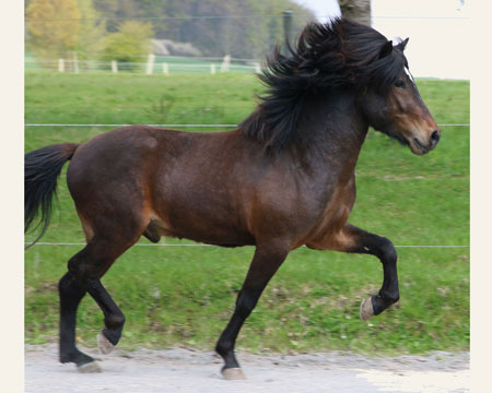 © 2016  by Glockenhof