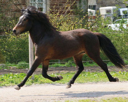 © 2016  by Glockenhof